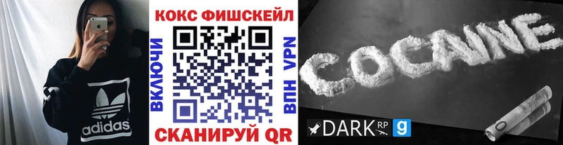 mega как зайти  Шагонар  КОКАИН Fish Scale 