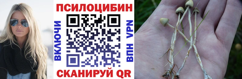 ссылка на мегу   Шагонар  Псилоцибиновые грибы GOLDEN TEACHER 